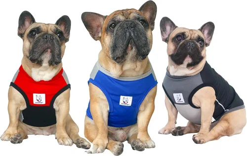 Vista 17 de iChoue - Camisetas de rayas de algodón 100% transpirable para Bulldog francés, chaleco de Halloween para perros medianos, camisetas Frenchie Pug