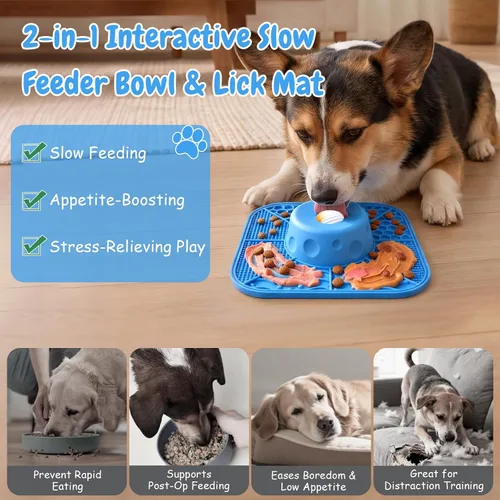 Vista 2 de Comedero lento para perros Lick Bowl (6oz)