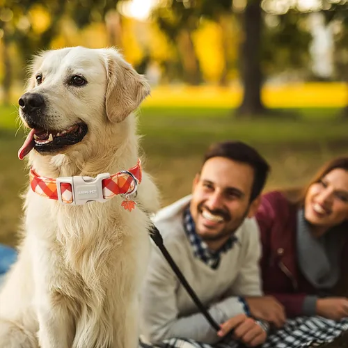 Vista 127 de Aring Pet Collar de algodón, ligero y ajustable, con hebilla de liberación rápida, para perros pequeños, medianos y grandes, para cachorros, S, Hoja