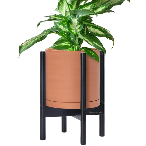 Vista 78 de D'vine Dev Maceta de cerámica con soporte de ébano – Maceta redonda moderna de 8 pulgadas con soporte para maceta de madera, color negro, 55-B-M-2