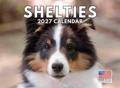 Vista 31 de Calendario mensual de pared Airedale Terrier Dog 2027