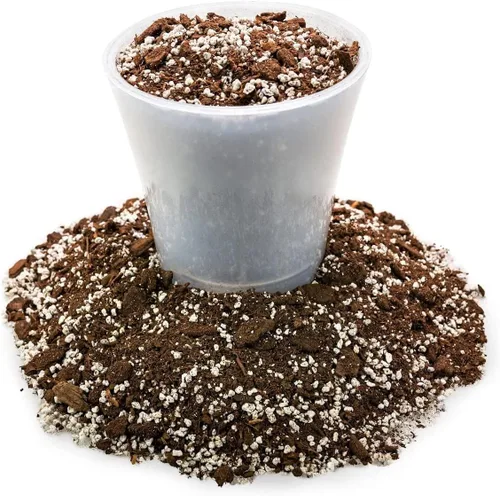 Vista 6 de GARDENERA Mezcla de tierra para macetas de aloe vera prémium (bolsa de 2 cuartos de galón)