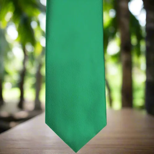 Vista 349 de tiemart Corbata de color sólido para hombre Longitud estándar
