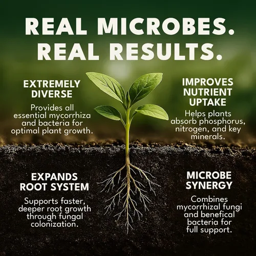 Vista 4 de Dirty Green Inoculante de hongos micorrícicos y bacterias beneficiosas de mezcla de microbios – 4 onzas en polvo, 1000 esporas/g, potenciador