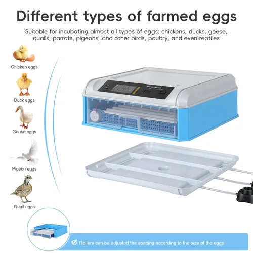 Vista 4 de 64 Egg Incubator, Automatic Incubator for Hatching Eggs with Auto Egg Turner, Temp & Humidity Control, Poultry Hatching Incubators for Chicken