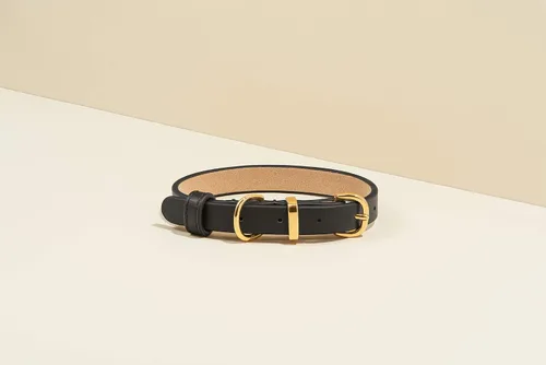 Vista 3 de SCAMPER & CO Collar de perro chapado en oro amarillo de 18 quilates con hebilla chapada en oro amarillo de 18 quilates, collar de perro con corazón