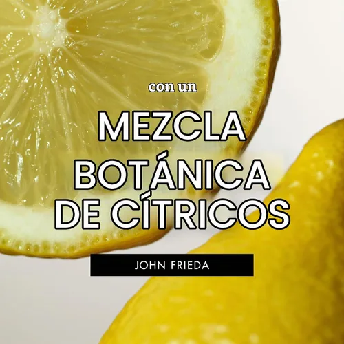 Vista 6 de John Frieda Go Blonder - Juego de champú y acondicionador aclarador