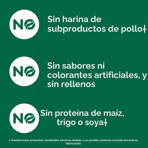 Vista 6 de Nutro Wholesome Essentials - Alimento seco para gatos adultos, pollo y arroz, 5 libras Real chicken #1 ingredient, natural prebiotic fiber for