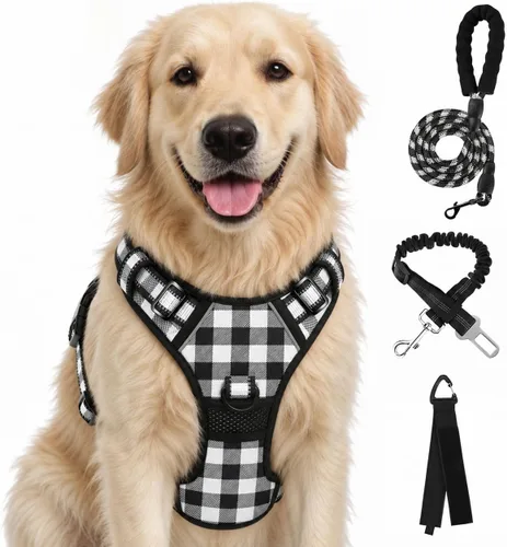 Vista 63 de FURRYFECTION - Arnés para perro a cuadros con correa y cinturón de Rosa