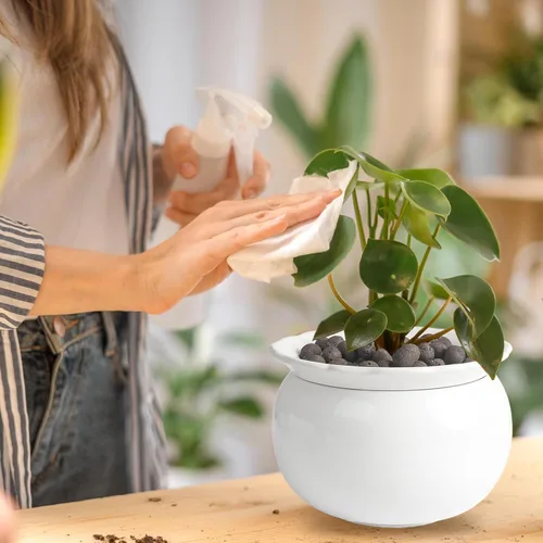 Vista 6 de Macetas de riego automático de 3 piezas, color violeta africano de 6 pulgadas, maceta de orquídea, 5+6 pulgadas, macetas de orquídeas con agujeros