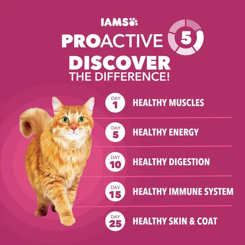 Vista 5 de IAMS Proactive Health - Alimento seco para gatos, salud del tracto urinario, comida para gatos adultos, receta seca con pollo, bolsa de 3.5 libras