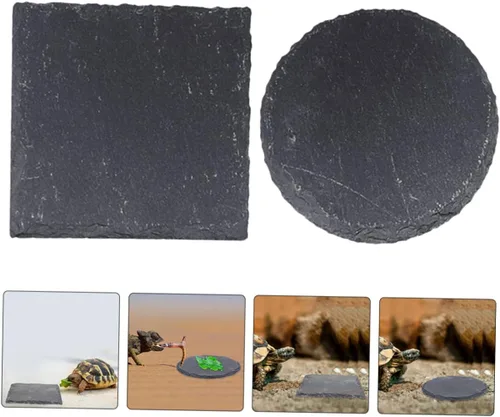 Vista 2 de Ipetboom 2pcs Cuenco de pulido de uñas Reptil Basking Plataforma Tortuga Plato de comida Colorfast Multifuncional