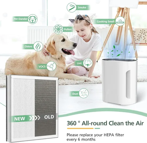 Vista 6 de Paquete de 2 filtros de repuesto HEPA 3 en 1 compatibles con el purificador de aire PureZone de Pure Enrichment, número de pieza PEAIRPLG