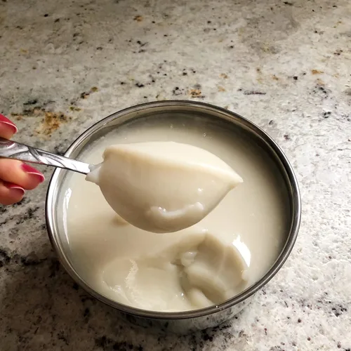 Vista 4 de Cultures for Health Kit de inicio de yogur vegano Kit de bricolaje de 7 piezas incluye 4 paquetes de cultivo de yogur sin lácteos, polvo