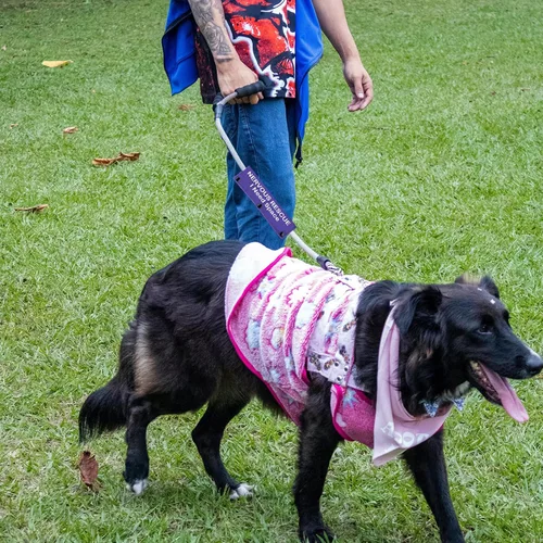 Vista 7 de Funda para correa para perro nervioso, espacio de rescate nervioso, parche para perro con distanciamiento social (espacio de rescate nervioso)