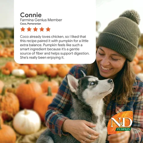 Vista 10 de Farmina - Alimento seco para perros adultos sin granos con calabaza, pollo y granada, mini raza