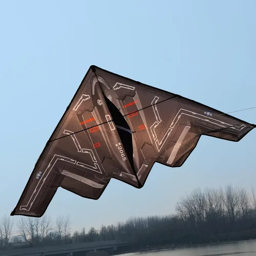 Vista 6 de Hengda Kite Cometa de avión de combate, para niños y adultos, fácil