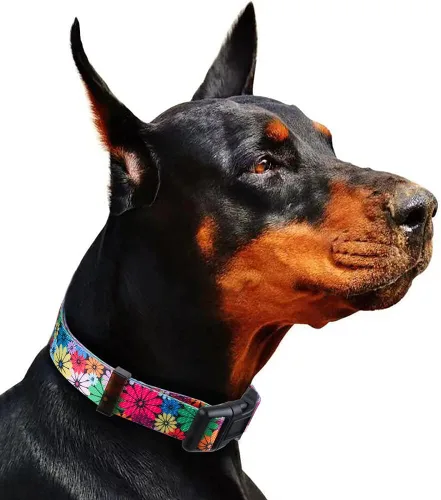 Vista 6 de Collar de perro para perros pequeños con patrón floral para hembras y perros, talla S