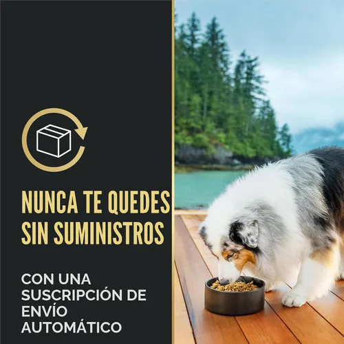 Vista 11 de Purina Pro Plan Alimento seco para perros con piel y estómago sensible