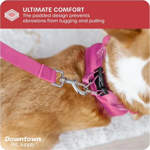 Vista 132 de Downtown Pet Supply Arnés para perro Step-in – Sin tirones, malla acolchada ajustable con ribete reflectante, correa de hebilla segura – Arnés