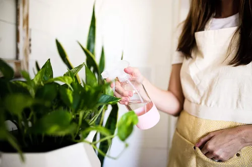 Vista 4 de Botella de vidrio transparente con funda de silicona para soluciones de limpieza, aceites esenciales, plantas, vinagre, 16 onzas, recargable, apta