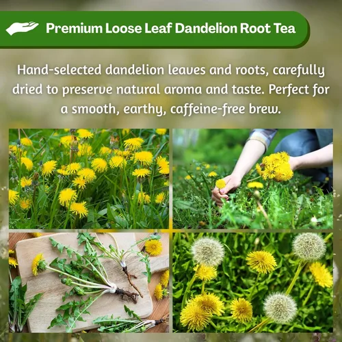 Vista 5 de Hanan Té de raíz de diente de león de hoja suelta – Té de hierbas Diente de León 100% natural de Perú, infusión sin cafeína para apoyo digestivo