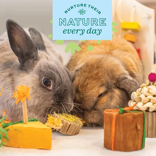Vista 5 de Oxbow Birthday Party Pack, Rabbit & Guinea Pig Toys, Bunny Enrichment Toys Juguetes para masticar conejos, Enriquecimiento de conejillo de indias