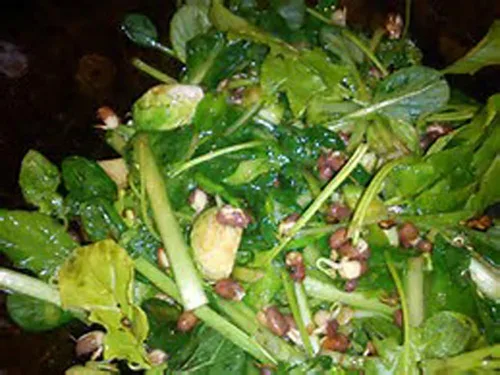 Vista 4 de Marca "COOL BEANS n SPROUTS", semillas de frijol Adzuki para brotar microverdes, 1 libra, un superalimento lleno de antioxidantes y nutrientes que