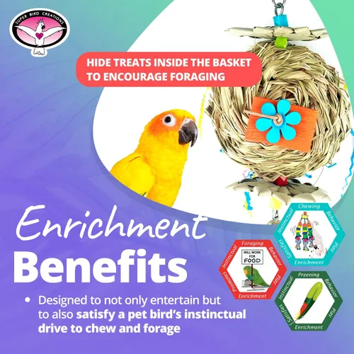 Vista 5 de Super Bird Creations SB611 Beakwhich Bird Toy - Accesorio interactivo y atractivo, ideal para loros de tamaño mediano, perfecto para masticar
