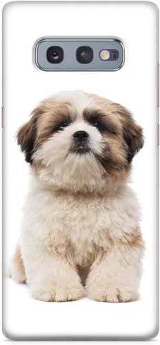 Vista 25 de Inspired Cases - Funda compatible con iPhone Xs Max - Funda protectora con textura 3D para Apple iPhone Xs Max - Shih Tzu
