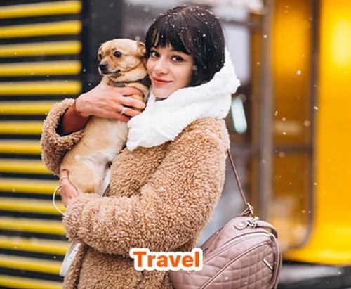Vista 6 de InLife - Calentador súper cálido para mascotas, totalmente natural y seguro, área más grande y más amplia cubierta, calentamiento más alto 63°C