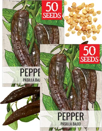Vista 49 de Seed Needs - Semillas de pimiento arcoíris para plantar verduras, 1 paquete