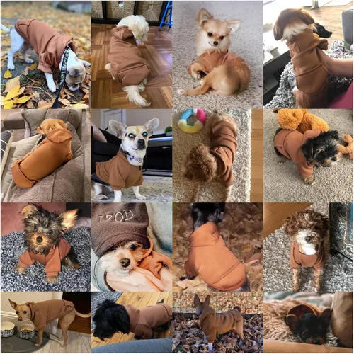 Vista 4 de Jecikelon Sudadera con capucha para perro de invierno con bolsillos, ropa cálida para perros pequeños, abrigo de Chihuahua, ropa de cachorro y gato