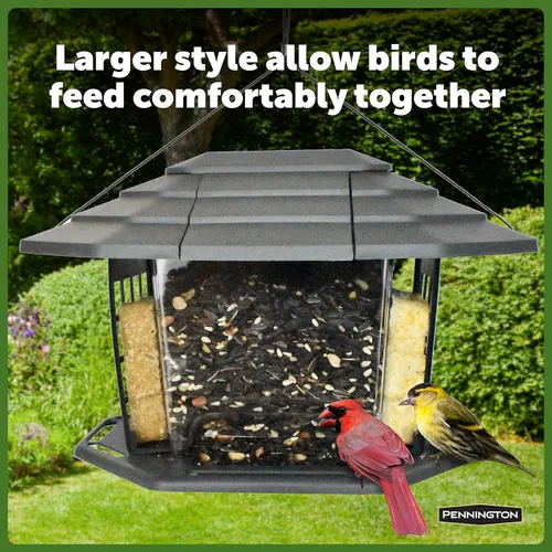 Vista 5 de Pennington Earth Smart EcoBistro - Comedero para pájaros, color gris, 5 libras