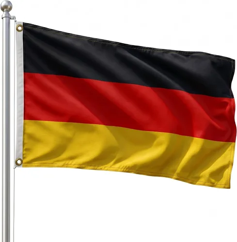 Vista 145 de DMSE - Bandera nacional beninesa beninesa de la República de África Occidental, 2 x 3 pies, 100 % poliéster, 100 % poliéster, resistente a los rayos