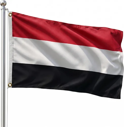 Vista 156 de DMSE - Bandera nacional beninesa beninesa de la República de África Occidental, 2 x 3 pies, 100 % poliéster, 100 % poliéster, resistente a los rayos