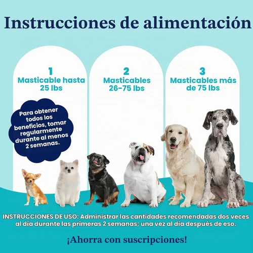 Vista 7 de Probióticos masticables para perros de oro sólido para salud digestiva