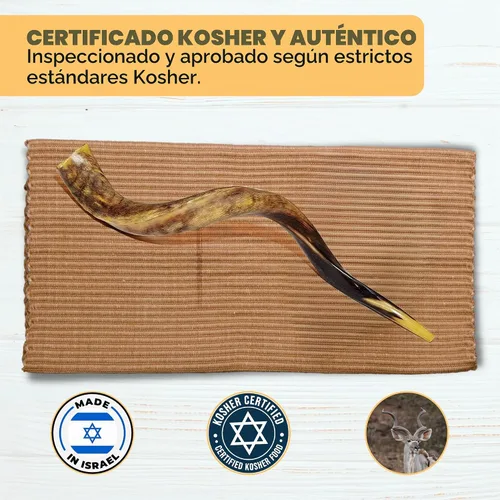 Vista 5 de YOMTOV-SHALOM Kudu Shofar a la venta Kosher de Israel Reyes Shofar Fábrica original de Shofar (13-18)