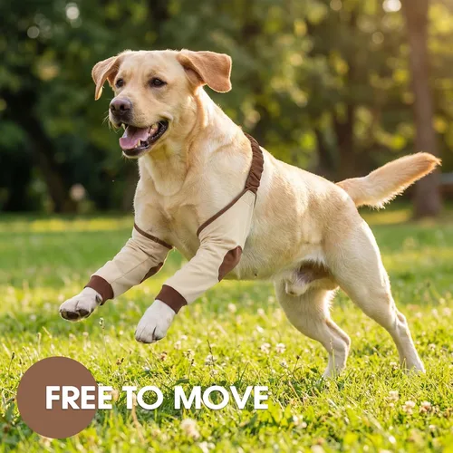Vista 7 de DENTRUN Manga de pierna para cirugía de perro para patas delanteras, protector de rodilla para codo, manga para dejar de lamer, ajuste cómodo