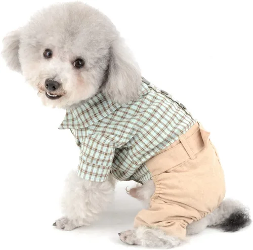 Vista 2 de SMALLLEE_Lucky_Store Camisas de algodón a cuadros británicos con botones para perros pequeños, niños con cinturón, pantalones casuales