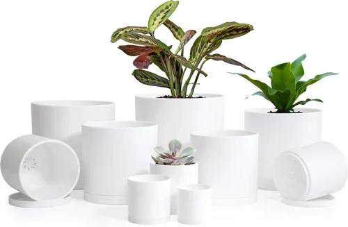 Vista 8 de D'vine Dev Paquete de 10 macetas de plástico para plantas, maceta cilíndrica para suculentas de interior de 6.5/6/5.5/4.5/4/3.5/3/2.5/2 pulgadas