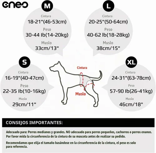 Vista 5 de Arnés de elevación para perros CNEO - Soporte ajustable para perros medianos y grandes, diseño cómodo con patas traseras acolchadas para perros