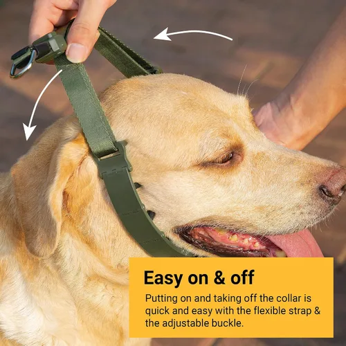 Vista 3 de SVD.PET Collar de punta para perro para entrenamiento sin tirones, hebilla de liberación rápida ajustable para perros pequeños