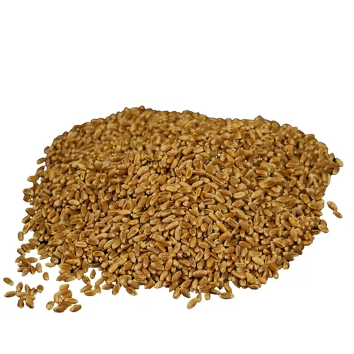 Vista 7 de WHEATLAND™ Bayas de trigo orgánico rojo duro • Cubo de 20 lb, sellado en Mylar • Almacenamiento de alimentos de emergencia • Cultivado por