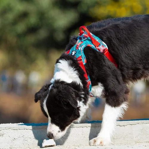 Vista 4 de TRUE LOVE Arnés para perro sin tirones de nailon reflectante suave camuflaje arnés para mascotas para perros pequeños grandes corriendo