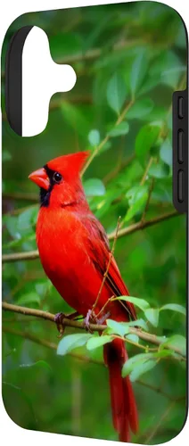 Vista 2 de Hermosa cardenal pájaro rojo escena de la naturaleza caso para iPhone 17