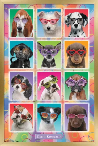 Vista 19 de Trends International Keith Kimberlin - Póster de pared con diseño de cachorros, gafas de sol, 14.725 x 22.375 pulgadas, versión enmarcada de madera