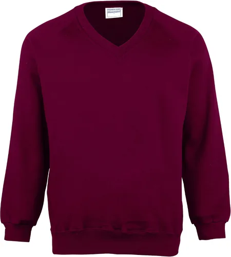 Vista 6 de Colorsure - Sudadera con cuello en V para hombre