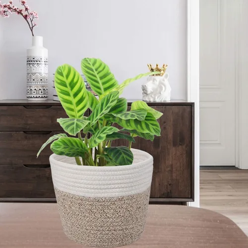 Vista 3 de Cesta de Planta de Cuerda de Algodón Cesta Tejida Moderna para Maceta de Flores de 6" Macetas de Interior de Piso, Organizador de Almacenamiento