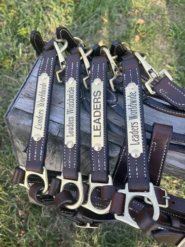 Vista 8 de Leaders - Cabestro de cuero para caballos con placa de nombre grabada personalizada para caballo